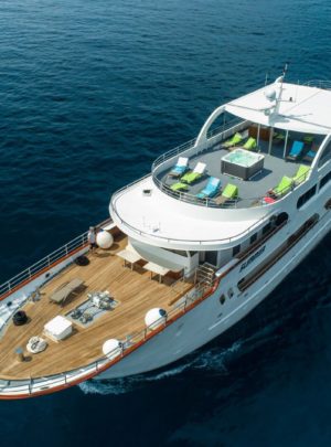 MS Summer-small ship cruise