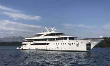 MS Ambassador